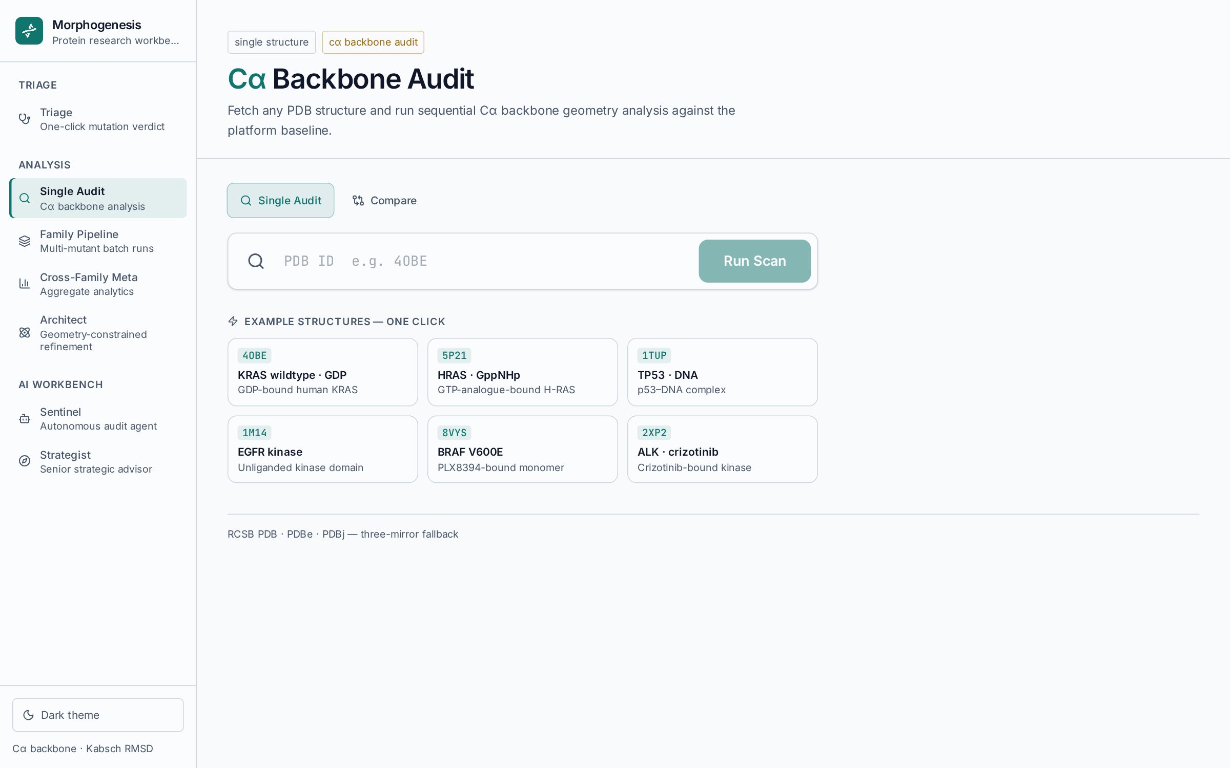 Single Audit page of the Morphogenesis app